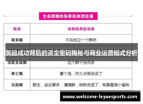 英超成功背后的资金密码揭秘与商业运营模式分析