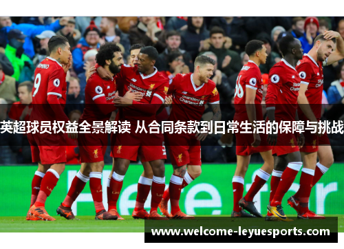 英超球员权益全景解读 从合同条款到日常生活的保障与挑战