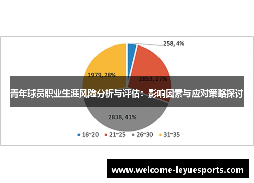 青年球员职业生涯风险分析与评估：影响因素与应对策略探讨