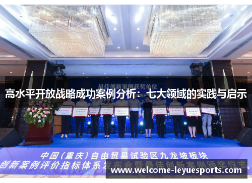 高水平开放战略成功案例分析：七大领域的实践与启示