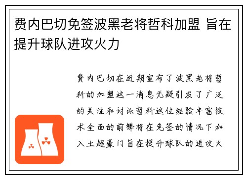 费内巴切免签波黑老将哲科加盟 旨在提升球队进攻火力